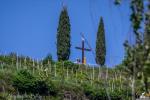 18° Cross Country Tra Le Torri 2025